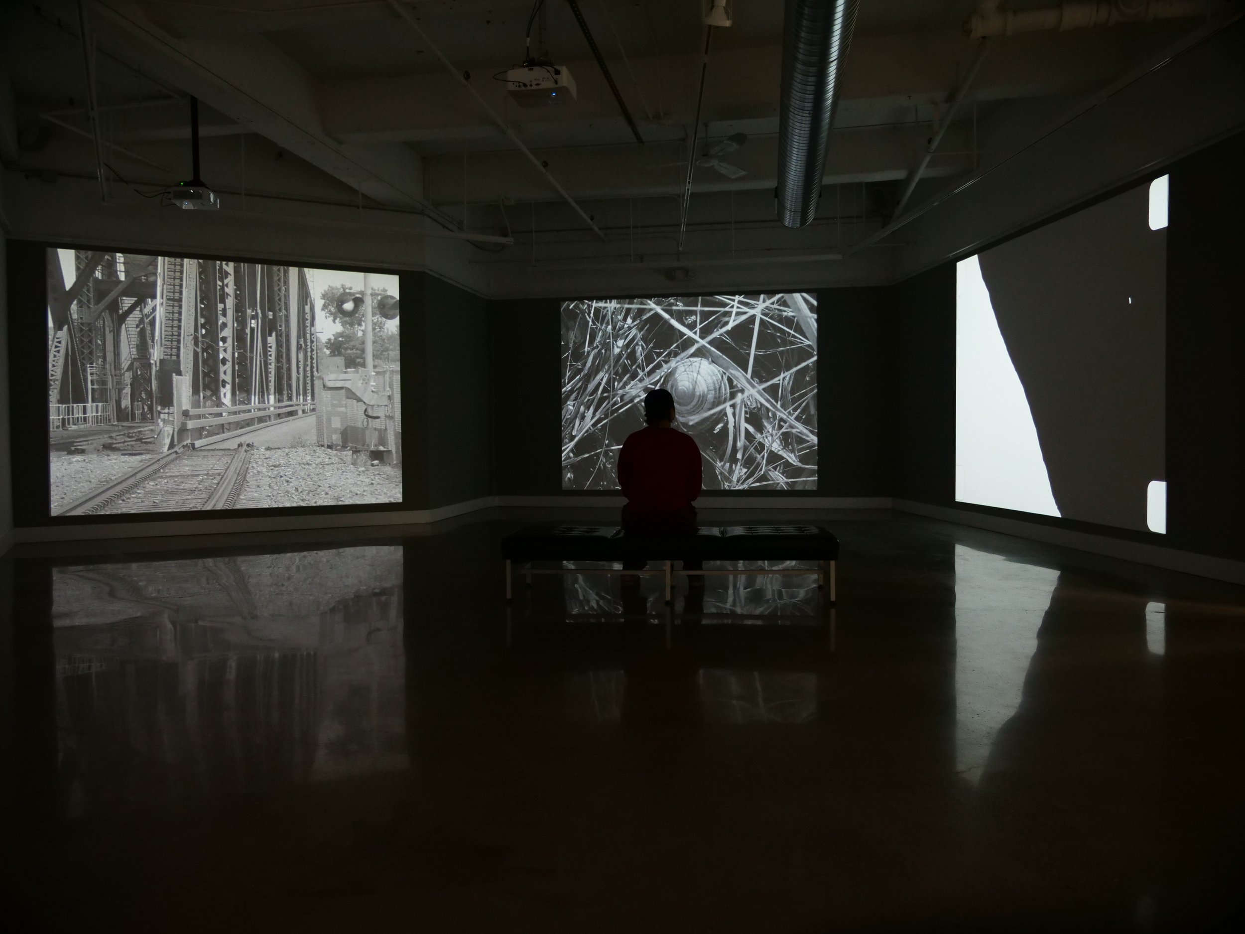 Unity Island installation view, Buffalo Arts Studio