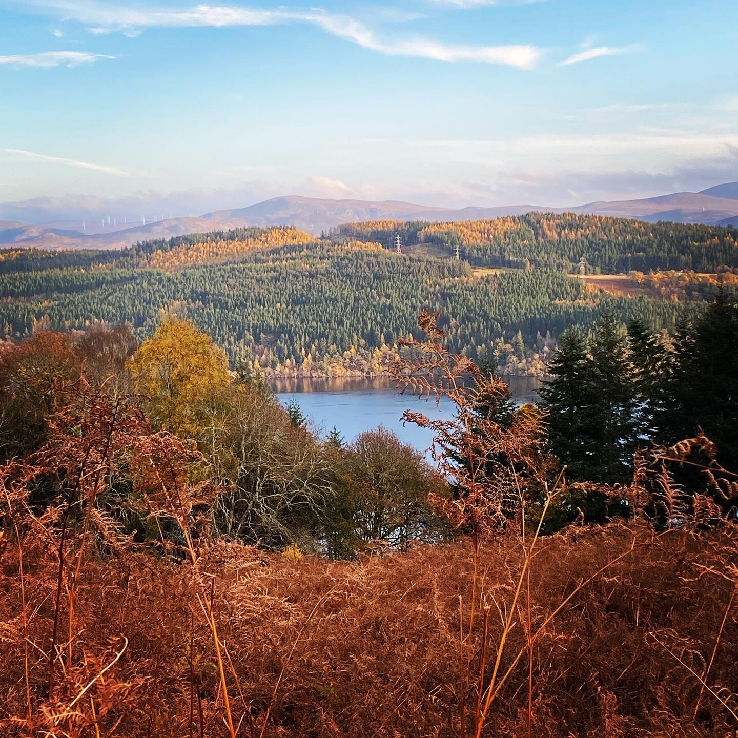 Golden days here high above Loch Ness at the moment. Autumn is such a special time of year when you&rsquo;re surrounded by trees 🍁🌲🍂