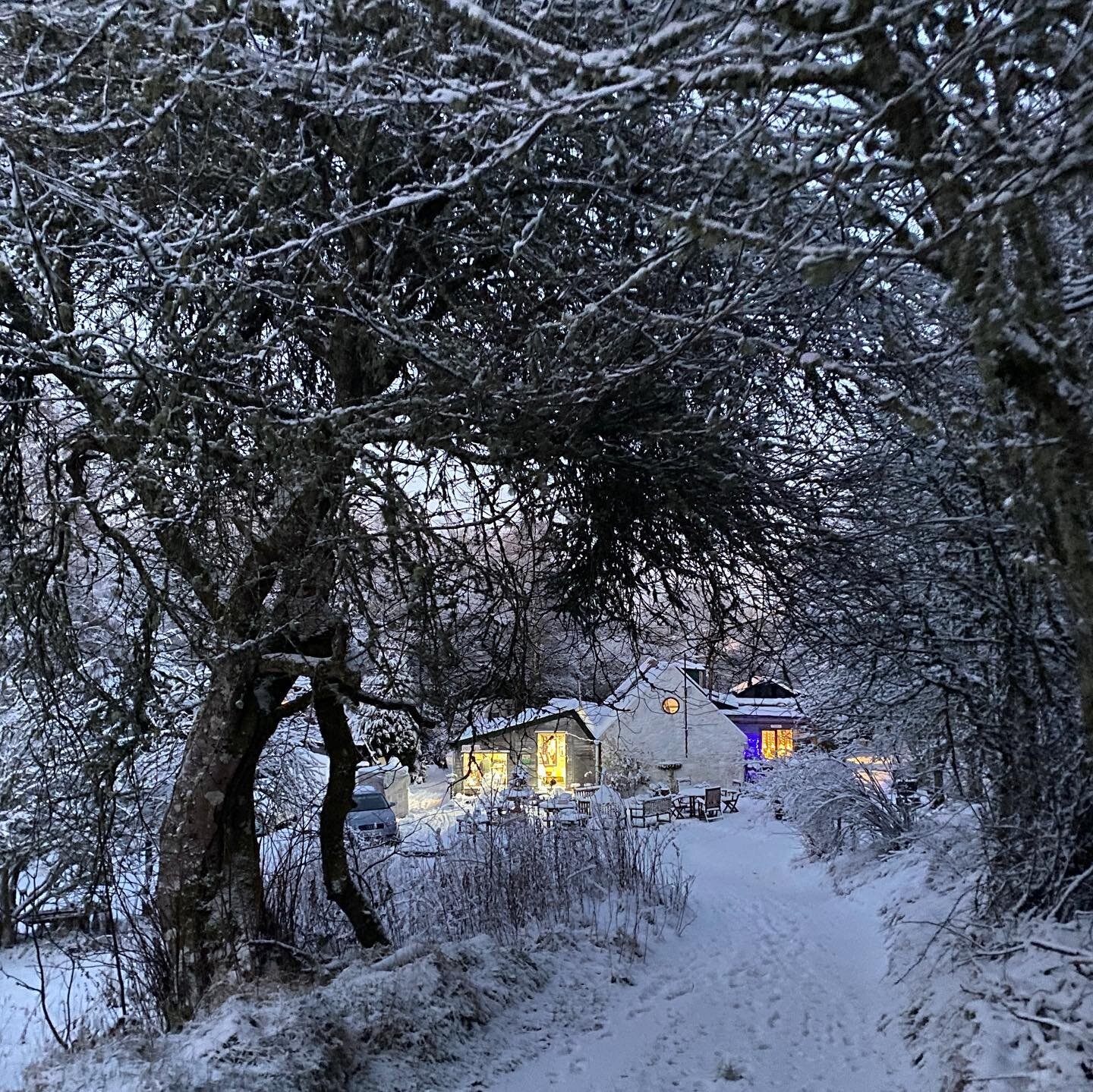 How inviting does @lochnessclayworks look! 

Absolutely beautiful, nestled in the surrounding snowy woodland. 

Be sure to pay them a visit when in the area, a mere stroll from Ancarraig Lodges and the cake is divine!