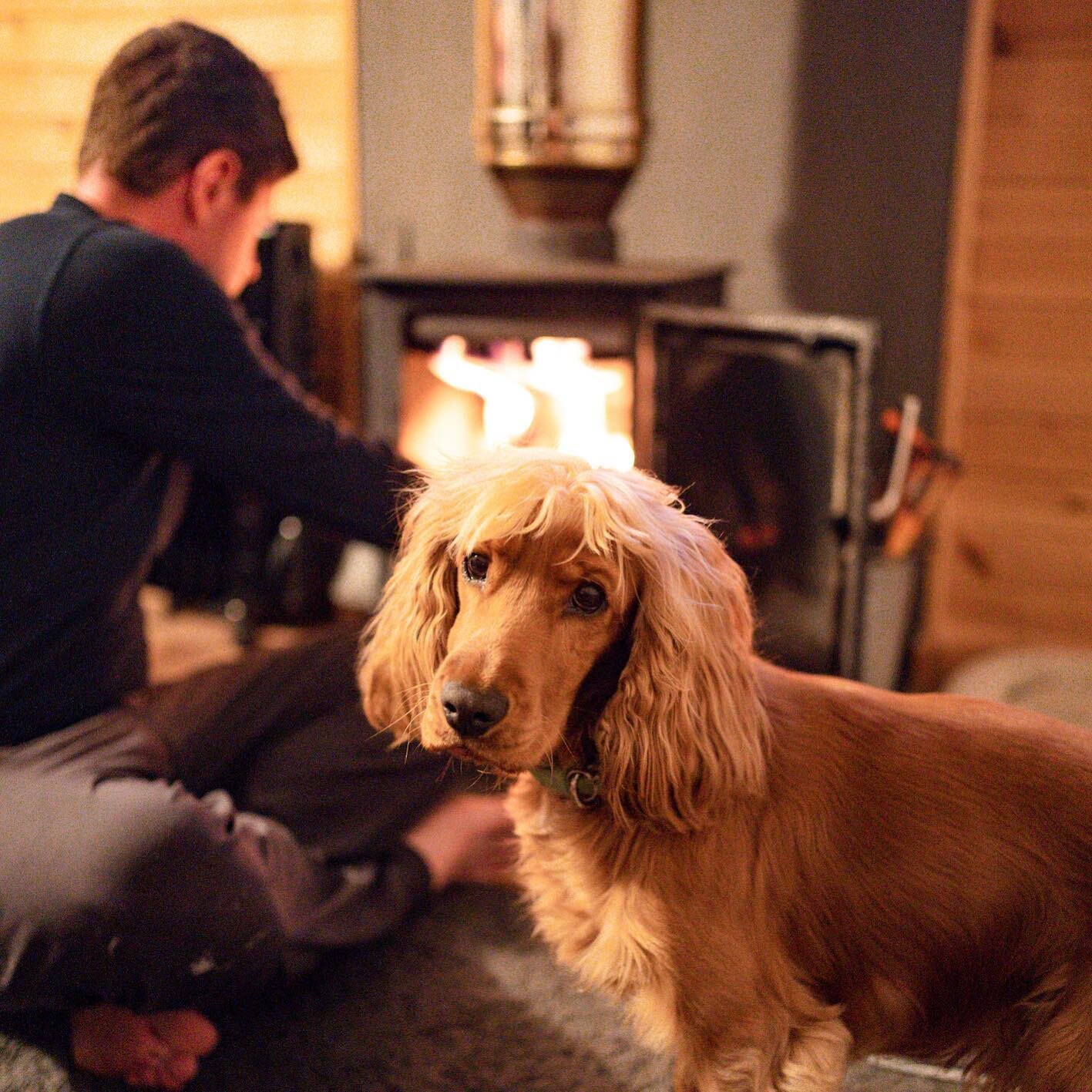 🐾 Did you know that Ancarraig Lodges is dog friendly? Furry friends get a warm reception here! 

🎾 Puppers are treated to a wee gift pack on arrival including treats, toys &amp; snacks, and a cosy waterproof blanket is provided for their stay. 

🦮