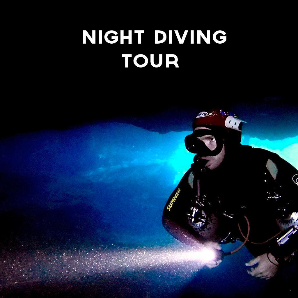 NightDiving.png