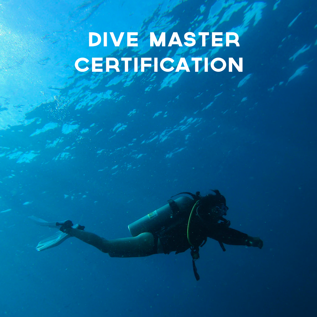 Dive Master — Ocean Impact