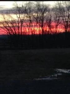 the beauty of each day