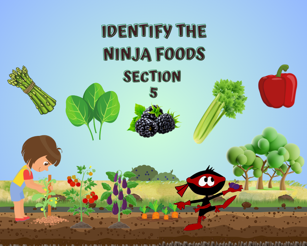identify ninja foods #5 image (1600 x 800 px).png