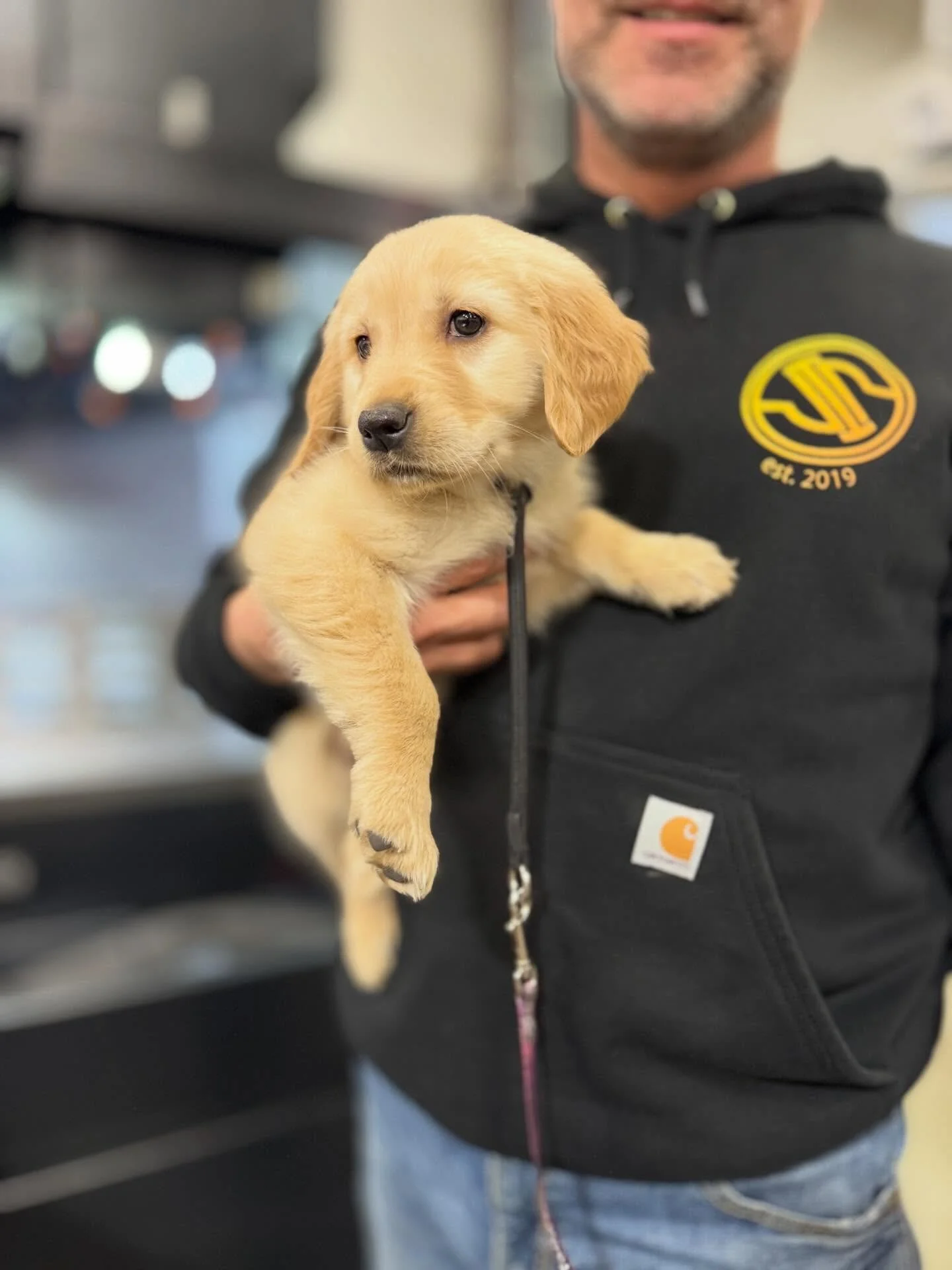 Meet Millie Jo, newest hire, youngest employee. #dogsofinstagram #dogsatwork #productiondown #moraleup