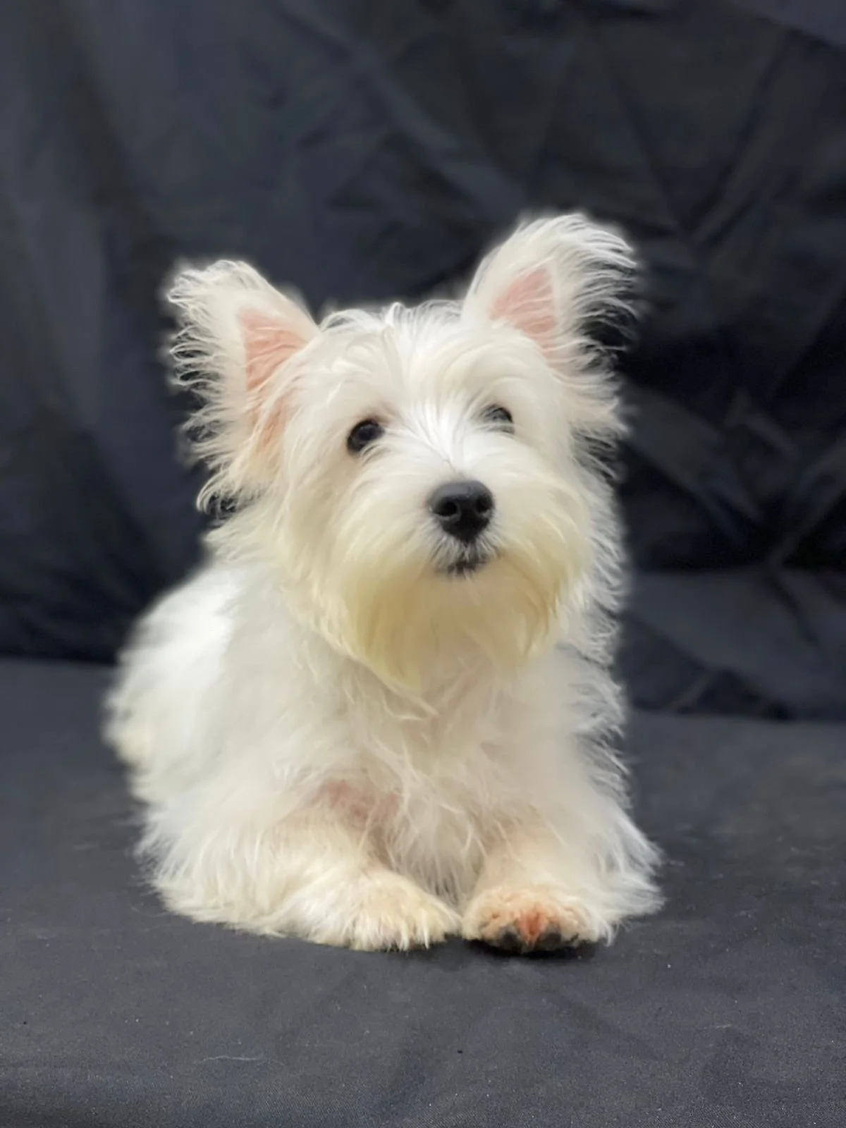 PHOTO-2022-01-21-14-12-34 3.jpg