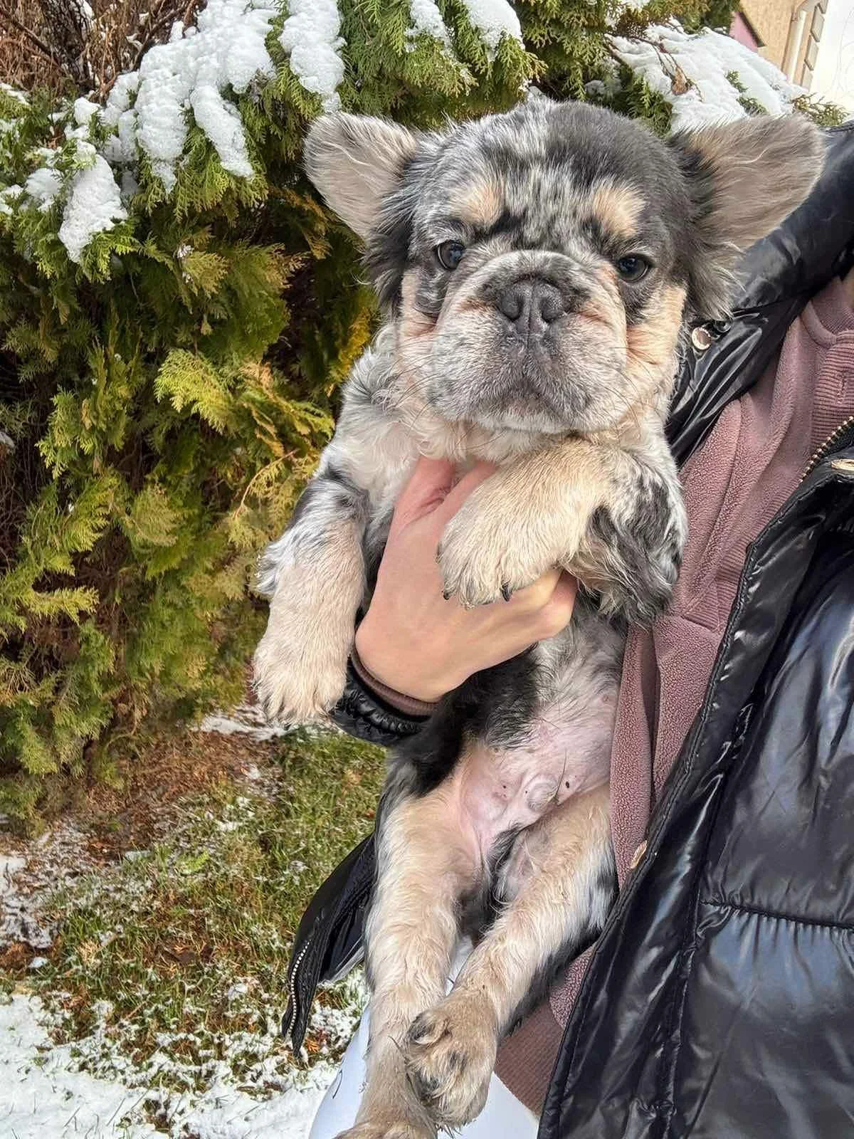 PHOTO-2024-12-20-12-03-58 3.jpg