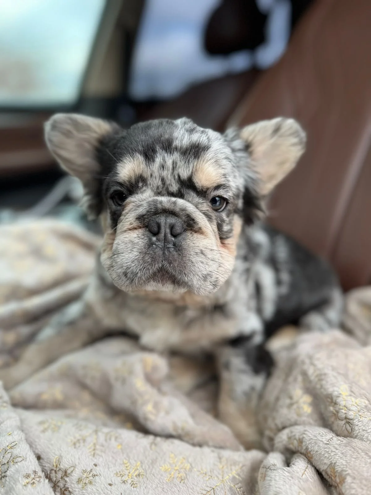 PHOTO-2024-12-20-12-03-58 2.jpg