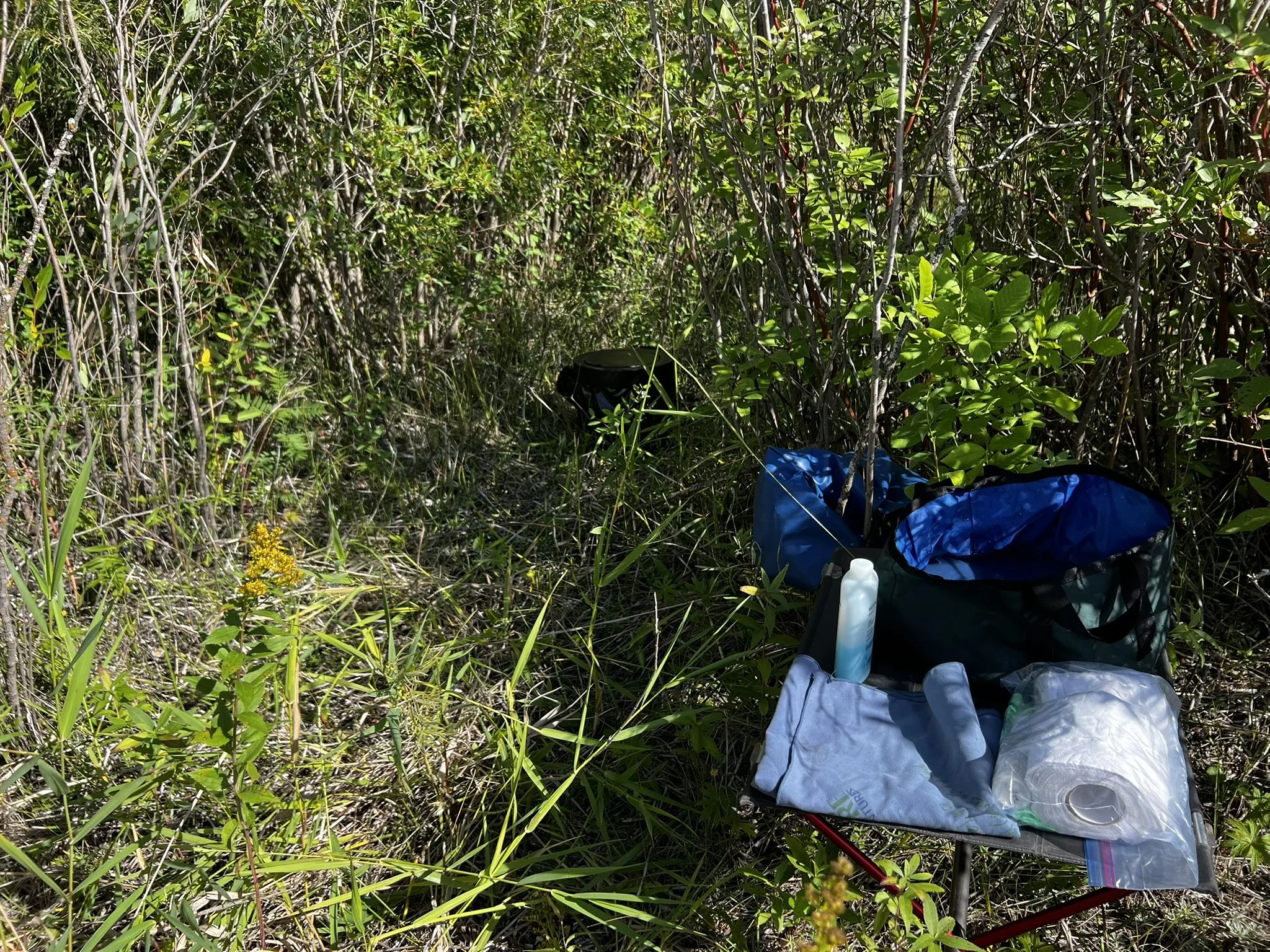A collapsible camping chair set up in a grassy, wooded area, with various camping supplies including a bottle, paper towel roll, and other gear