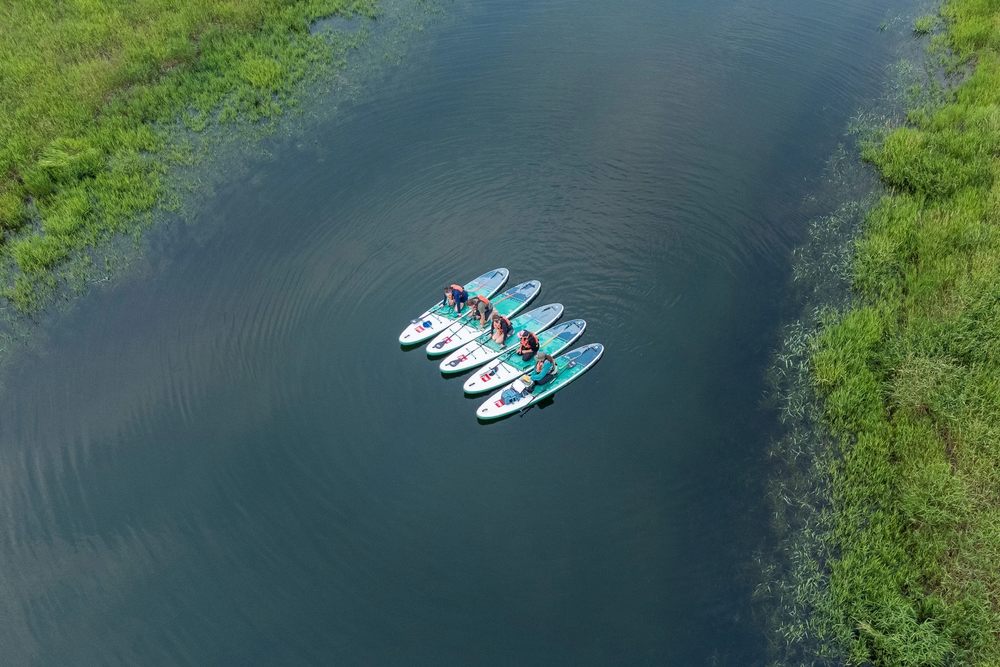 Aerial view of six people paddleboarding on the South Saskatchewan river surrounded by green grassy banks.