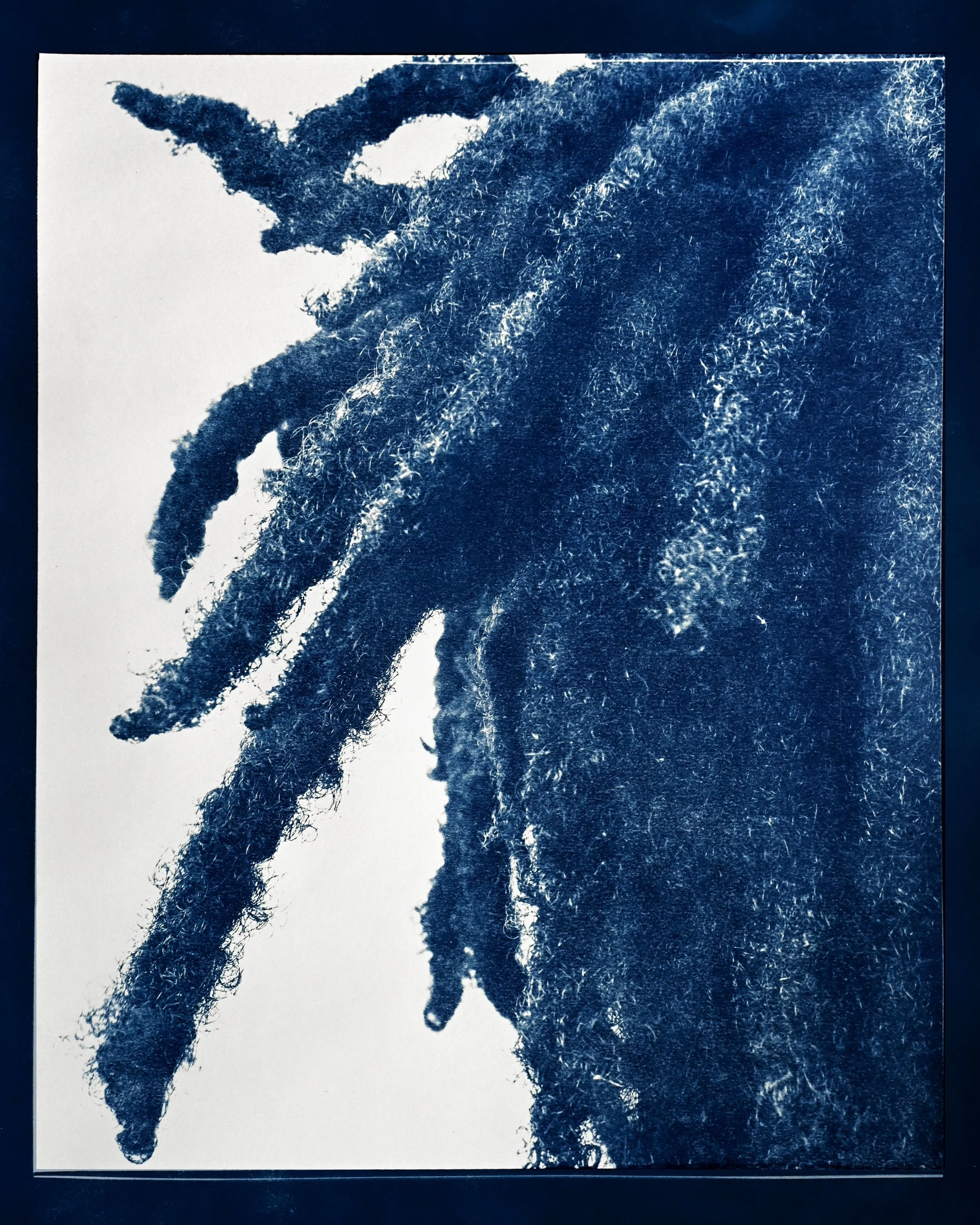 Natrice Miller - Palm Trees Sky-Tall (paper)
