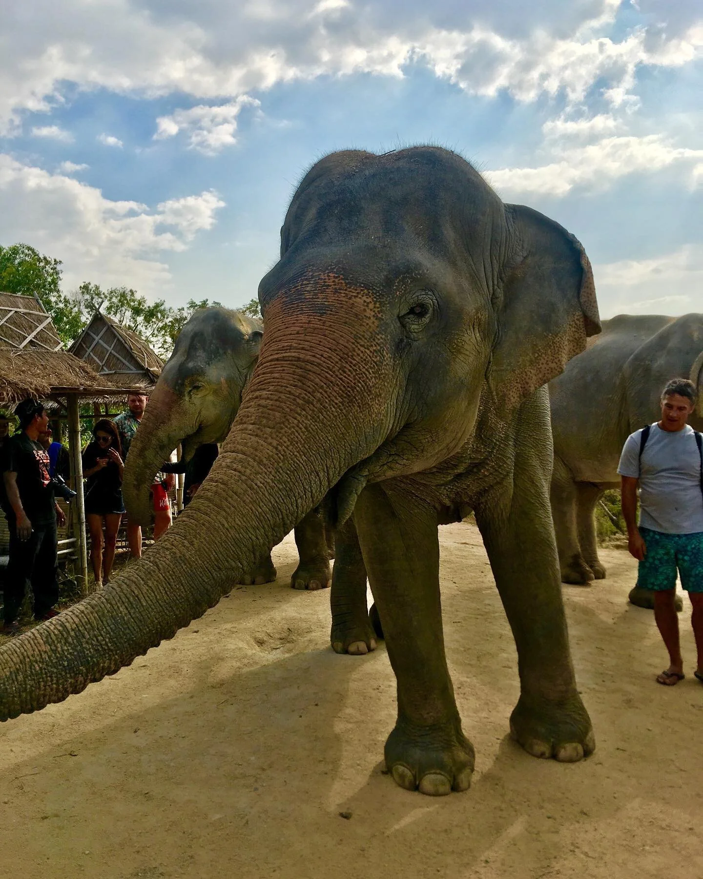 Oh hey there 🤙🏼