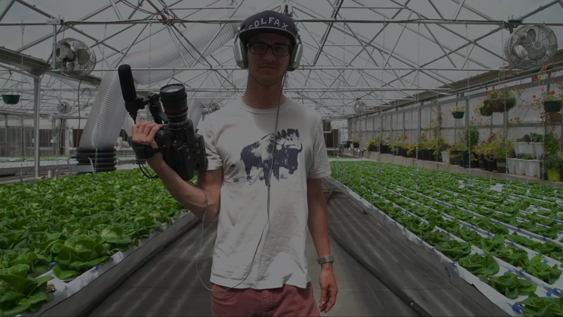 Filmmaker-in-greenhouse-overlay48.jpg