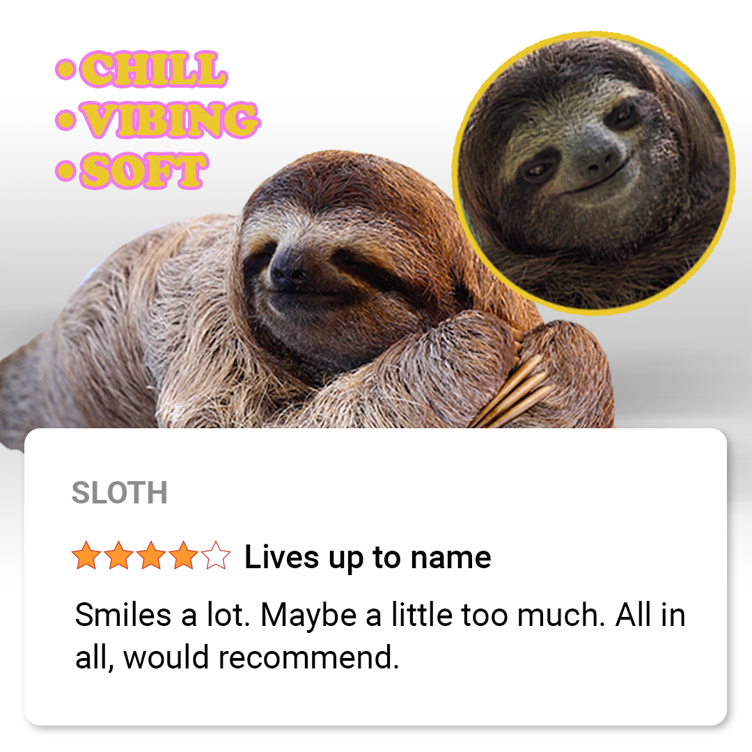 Sloths.png