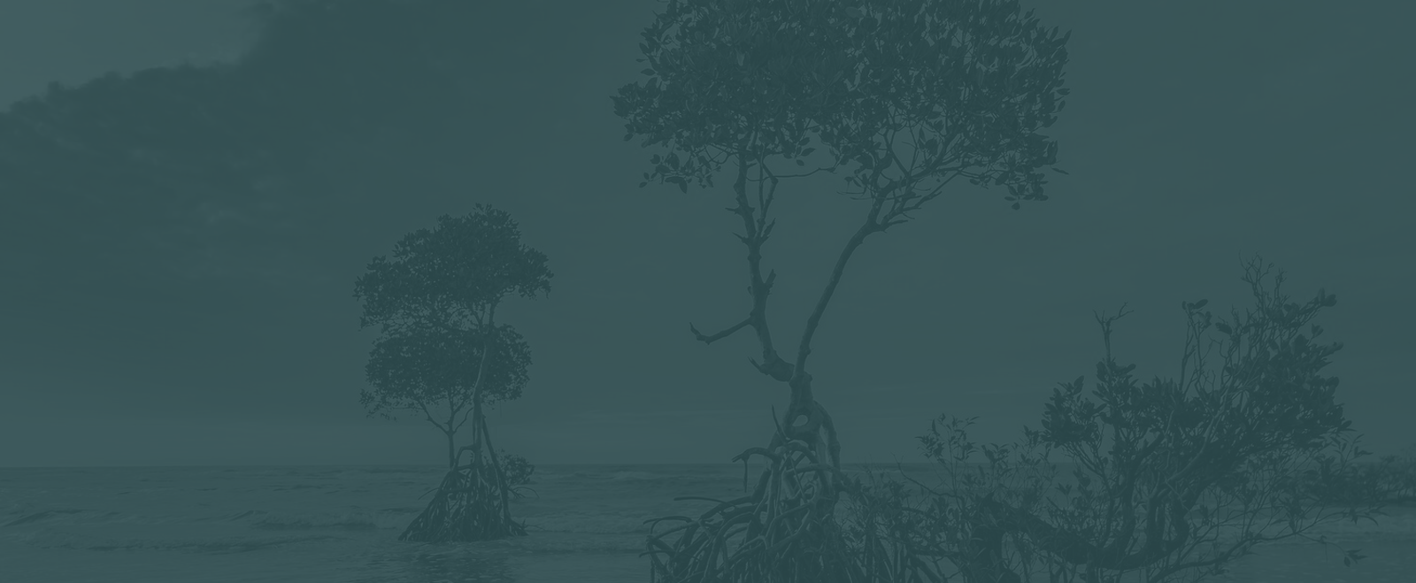 banner2.png