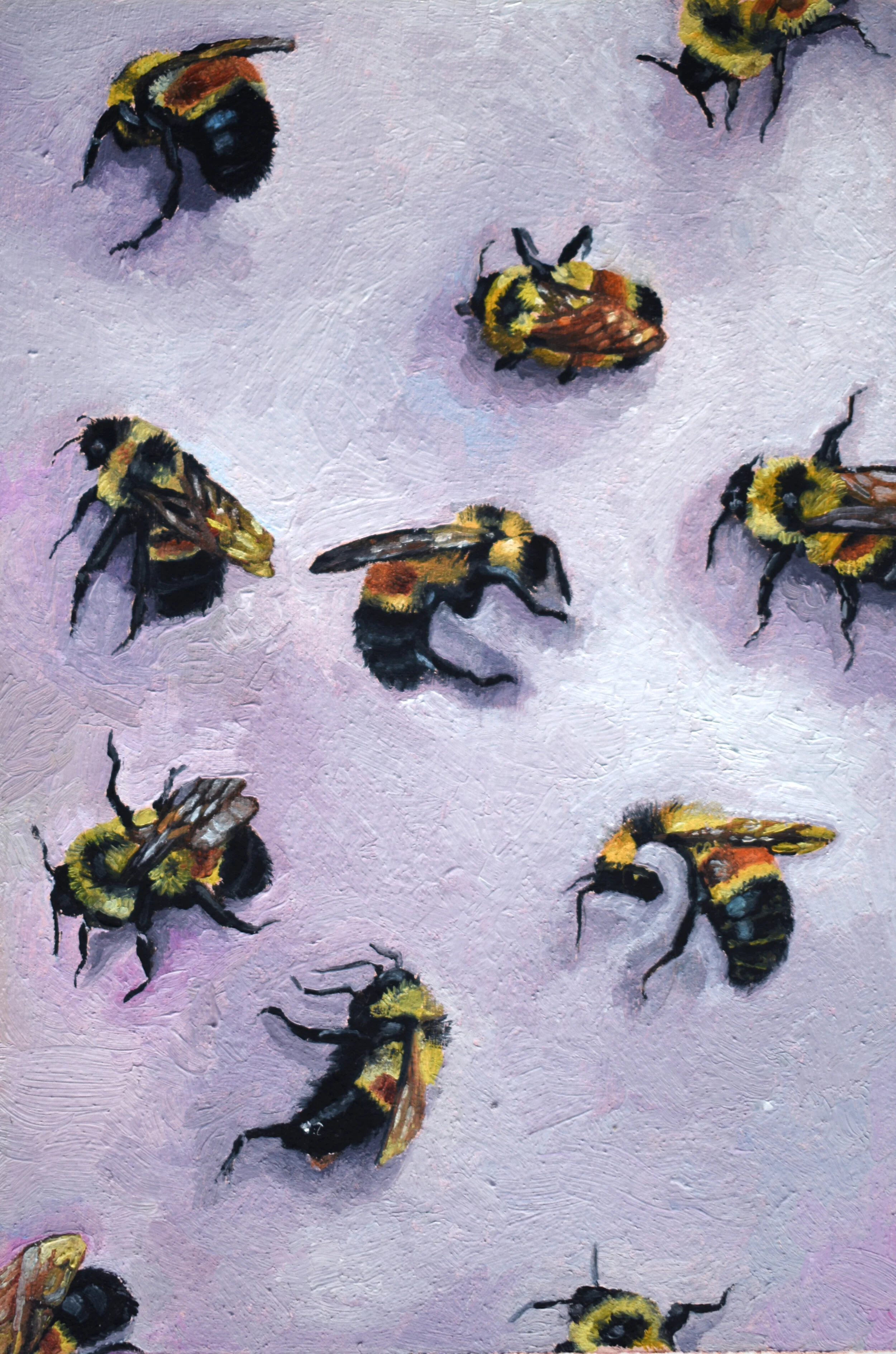 Pollinating, Eliminating