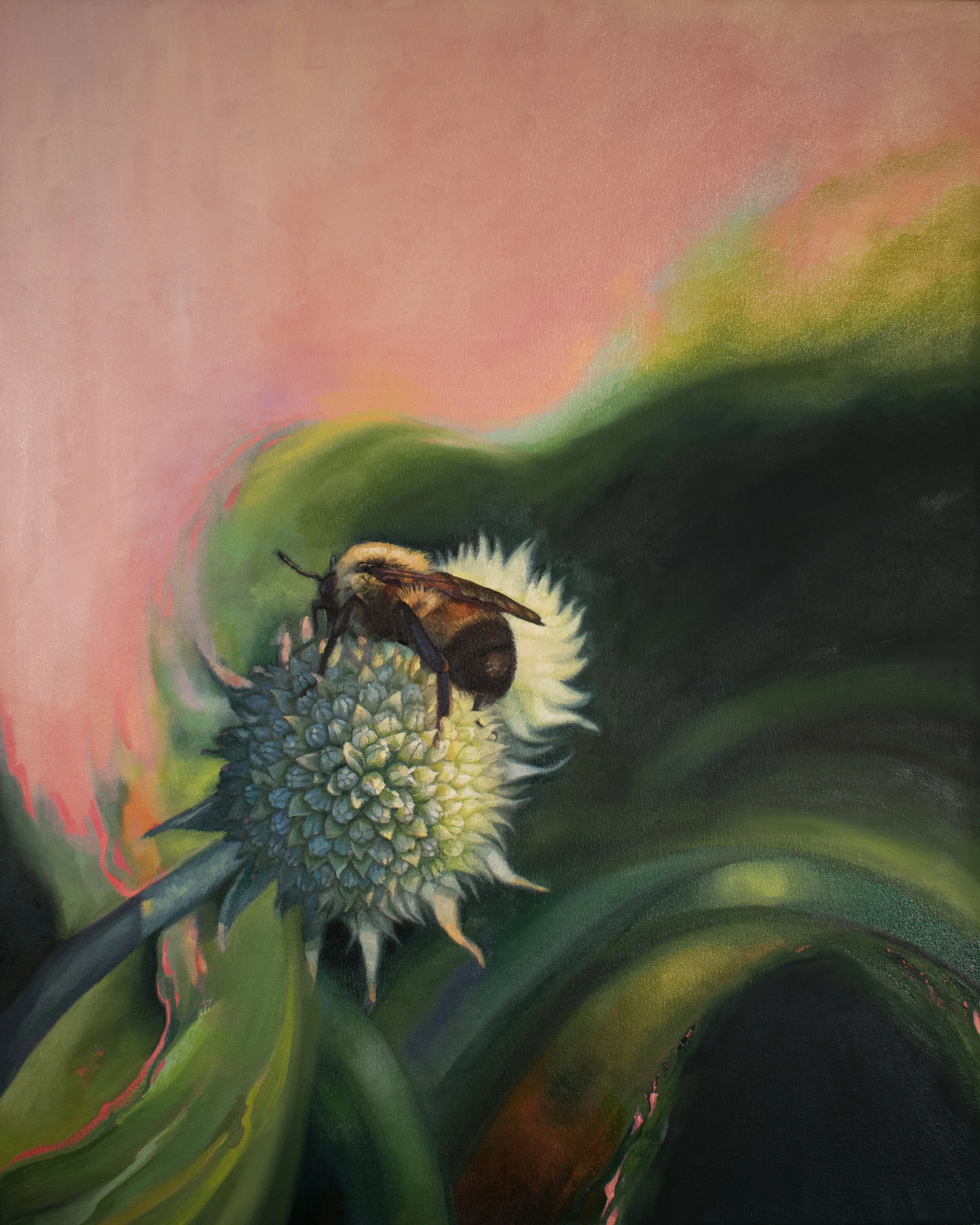 Rusty Patched Bumblebee, Bombus affinis