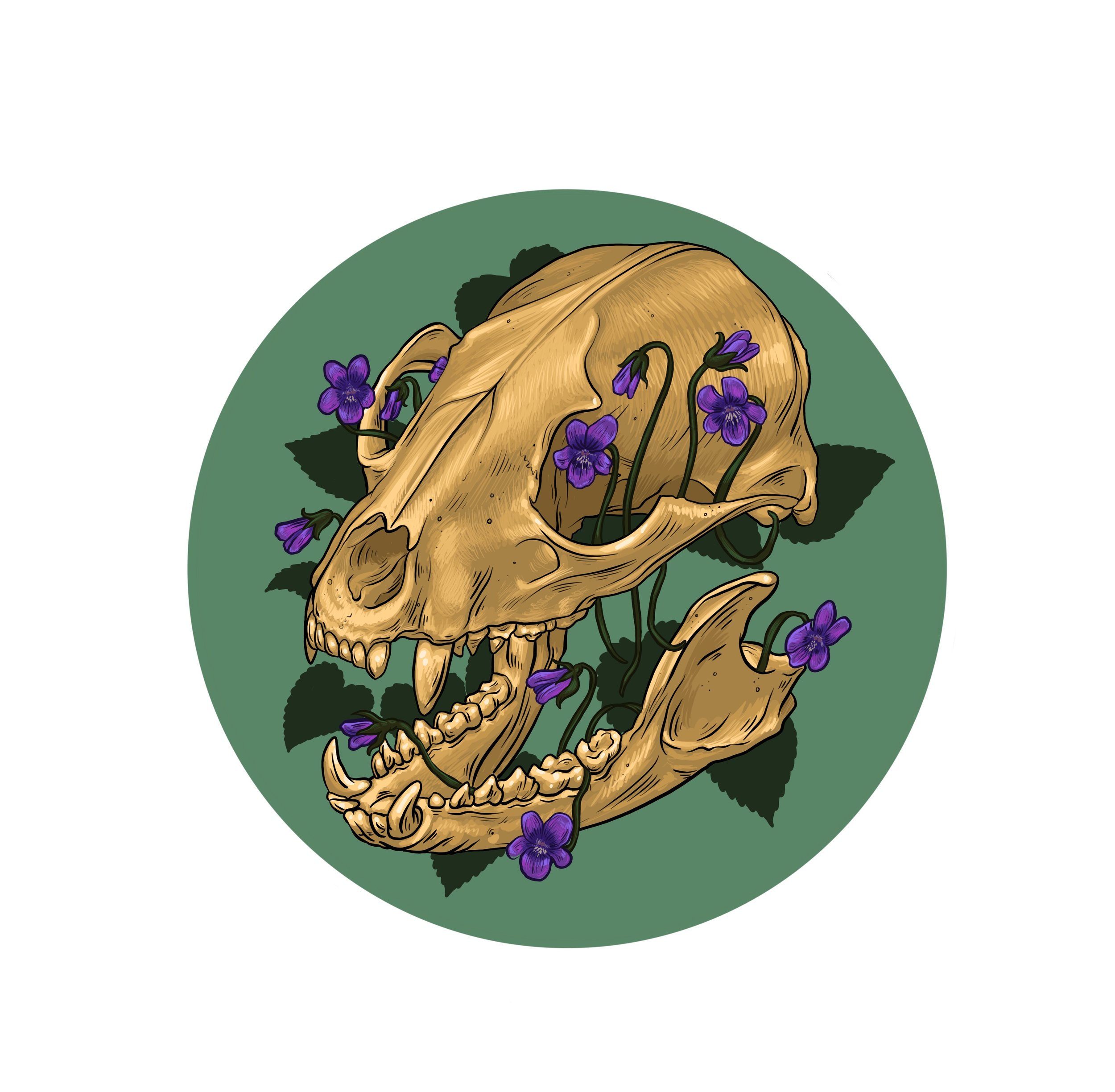 Raccoon Skull and Violets