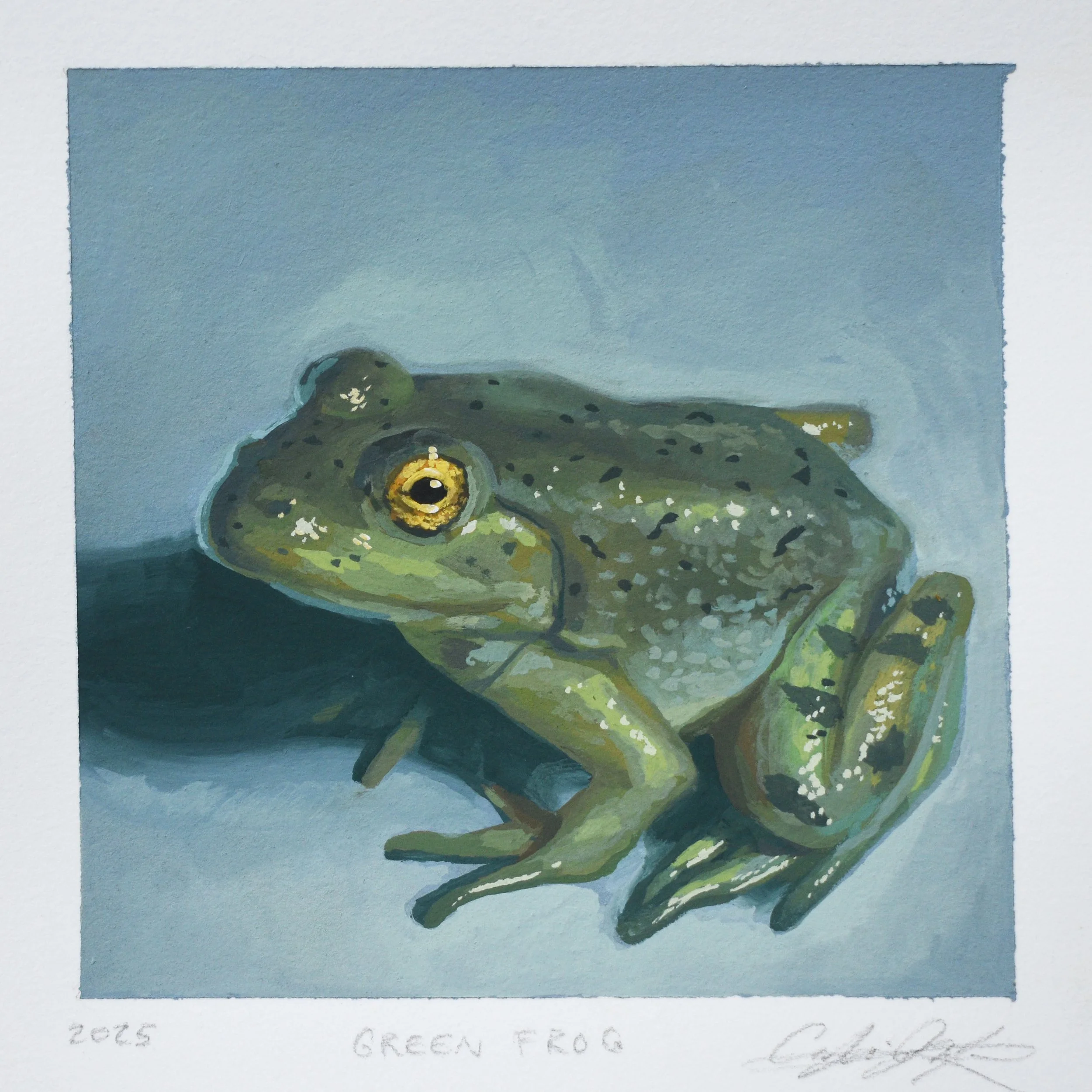 GreenFrog.jpg