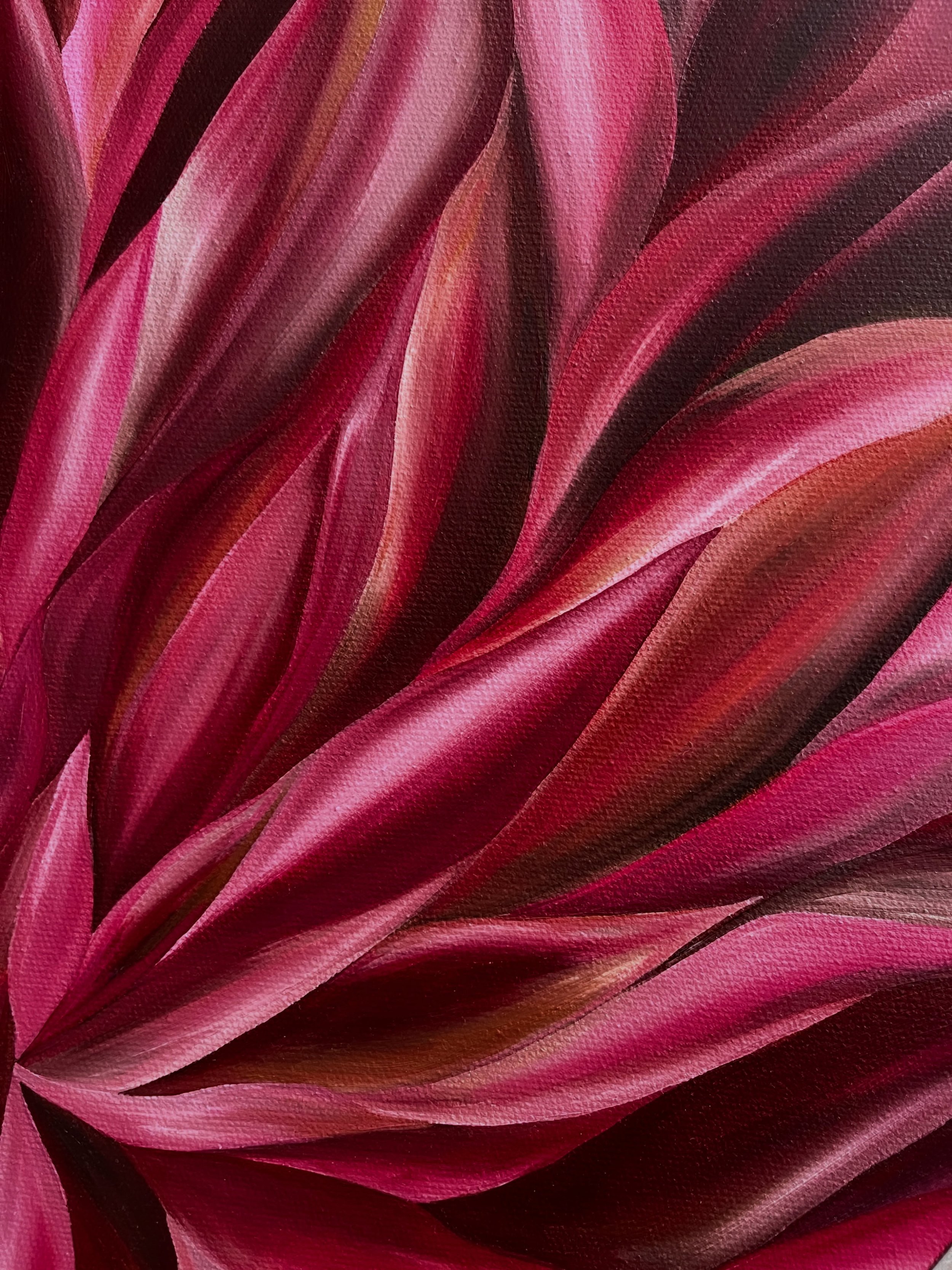 Petals, colour and movement 💕