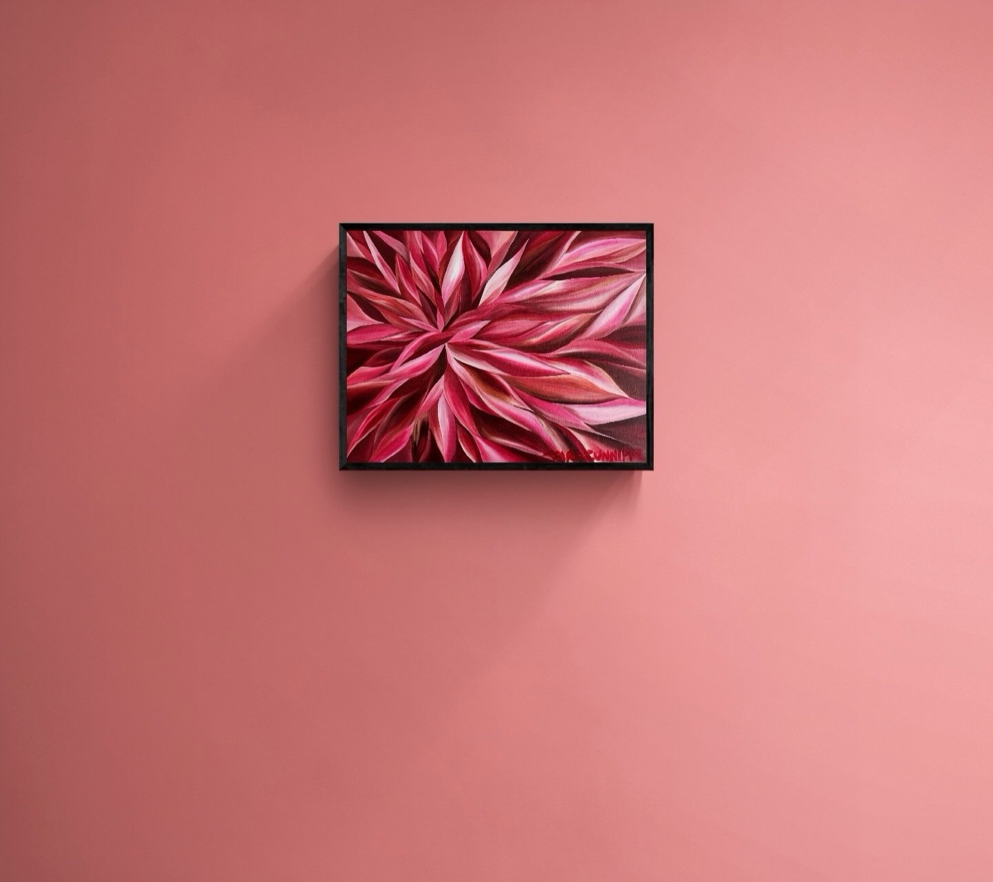 A study in pink.
Layered petals, movement and colour built up in oil.