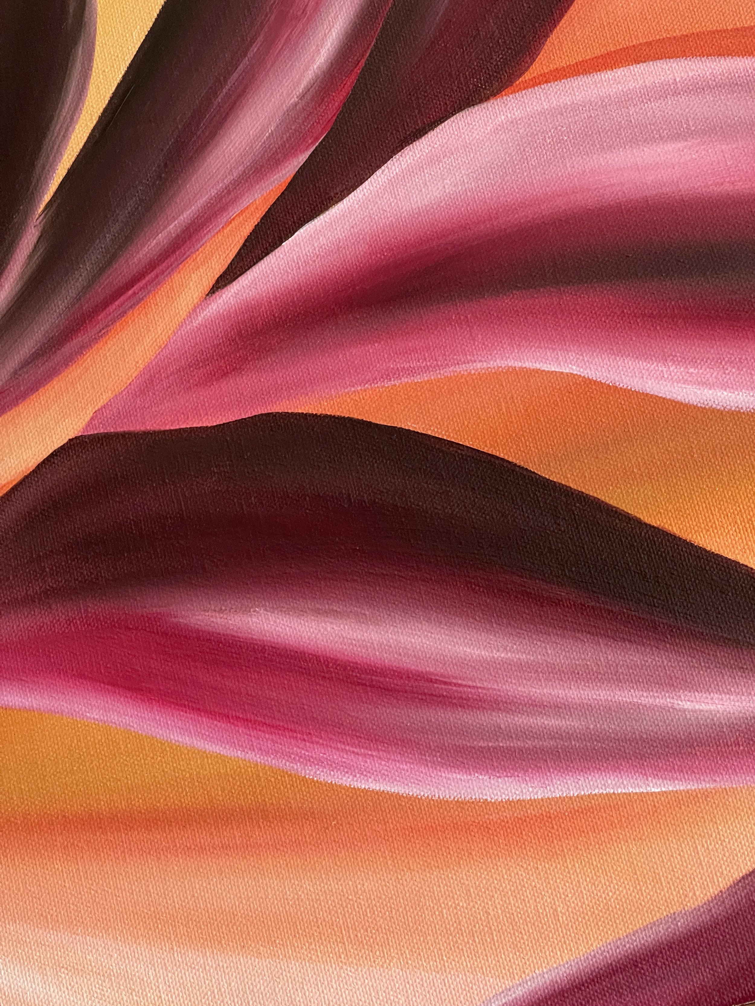 Tara Cunniffe Fine Artist Ember Bloom 9.JPG