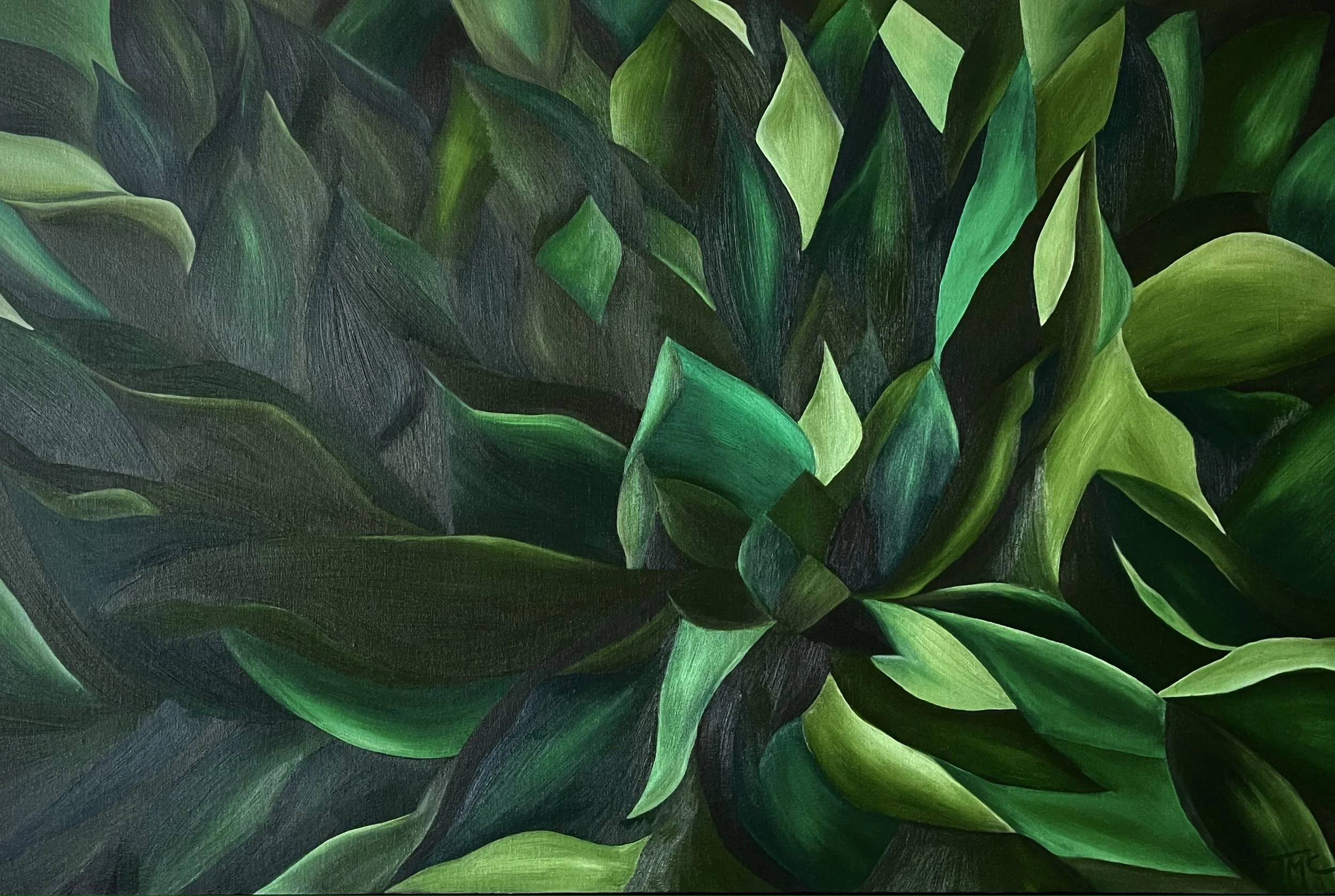 TMC Studios Artwork Sydney Fine Artist Tara Cunniffe