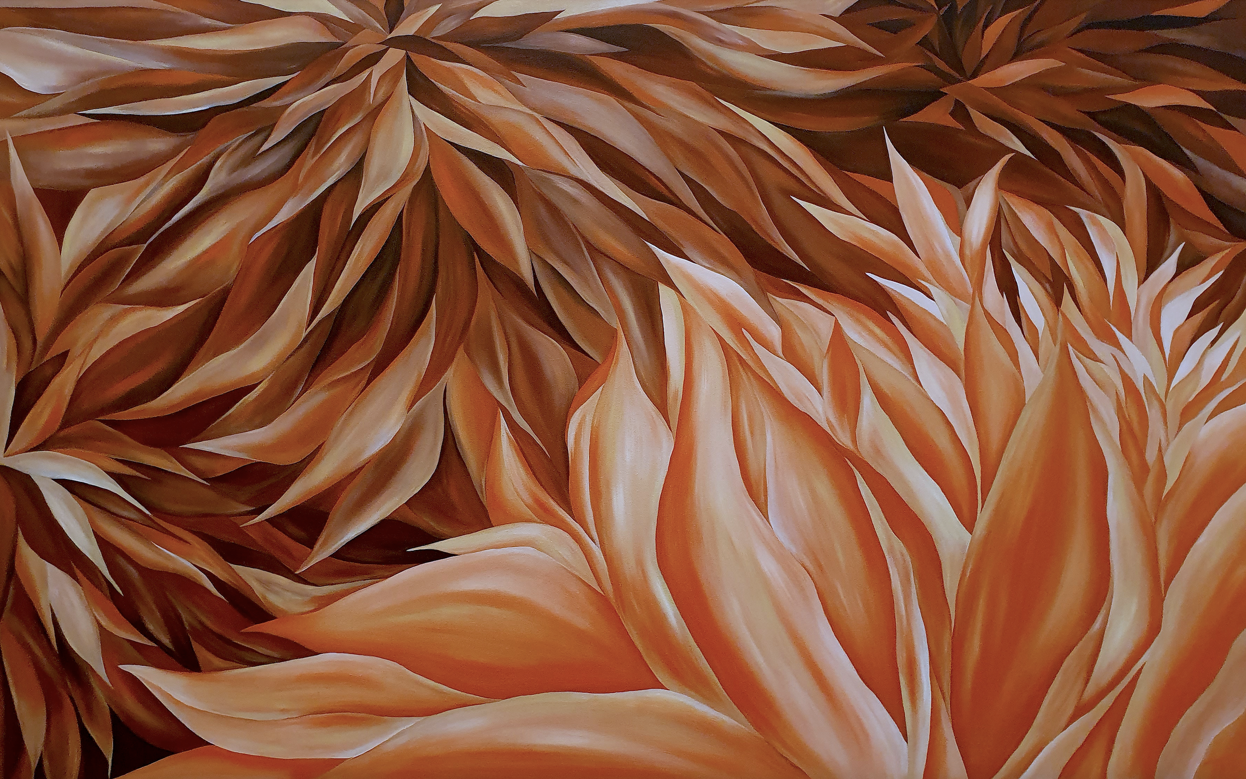 Limited Edition Prints