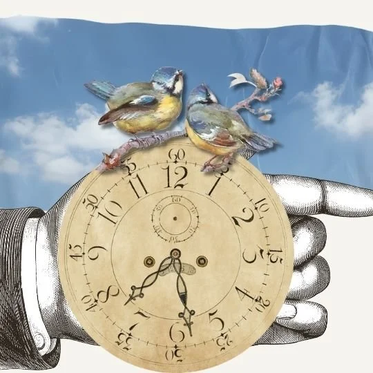 End-of-Life Planning: Lessons from the Mama Surfers