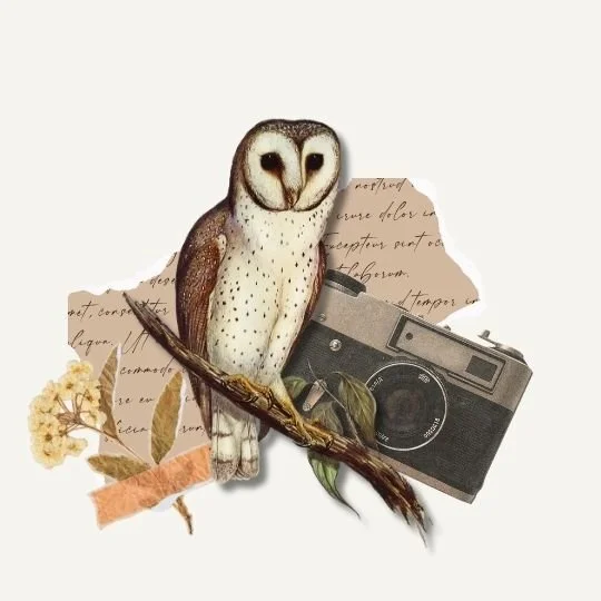 Don't Overspend on Funeral Arrangements