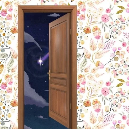 Behind the Scenes + A New Free Guide for Professionals