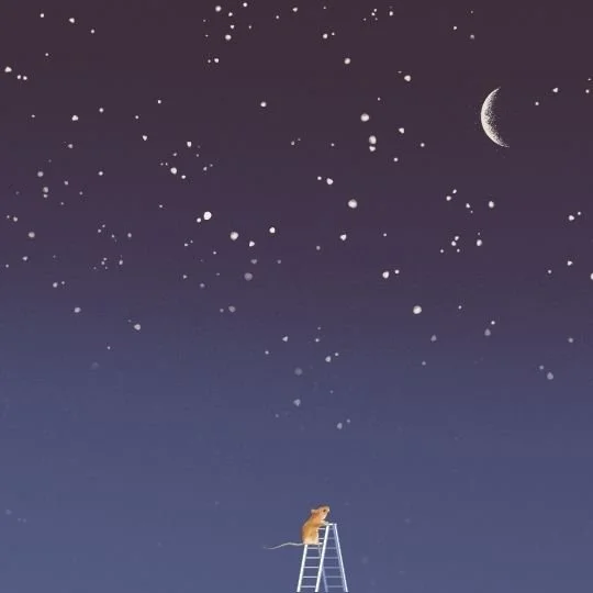 Single Days &amp; Seasons: Reflections on Grief Anniversaries