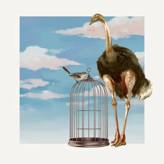 How I transitioned from long-distance caregiver to griever...