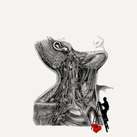 A Special Note for National Caregiver Month