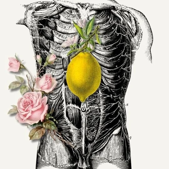 Practical Gifts for Grieving Hearts