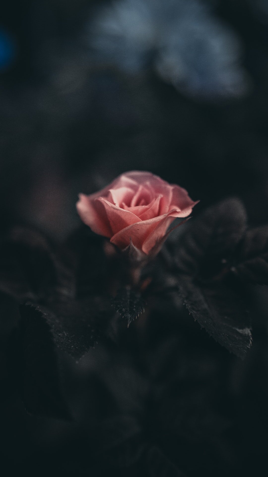 029eadf5-e634-4e52-b7b6-fa5d08cf079a.jpeg