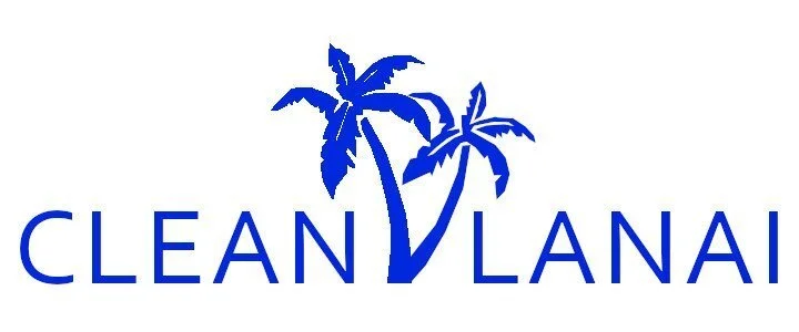Clean Lanai