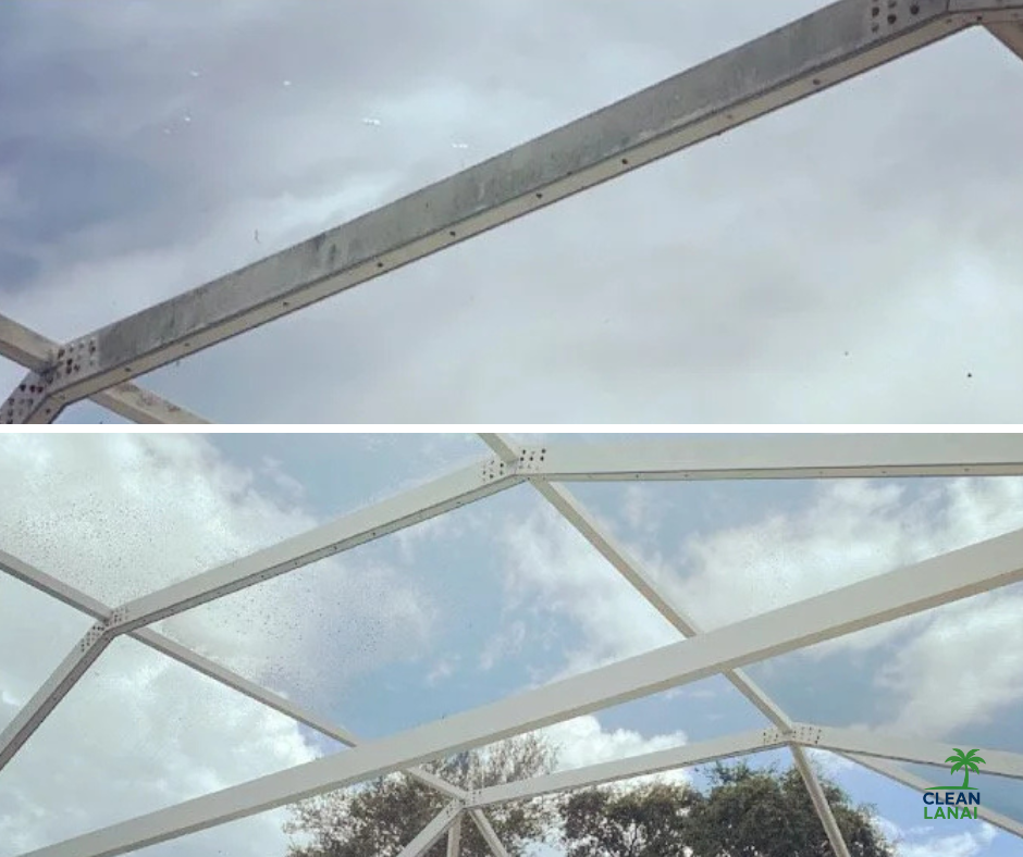 Screen cage cleaning service in Florida.
