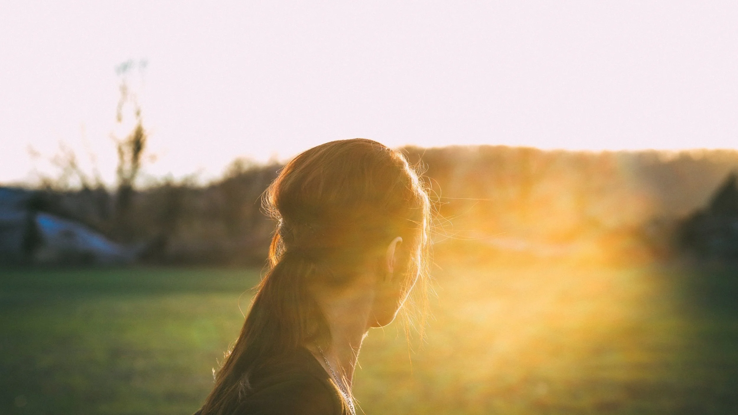 Programs and Services