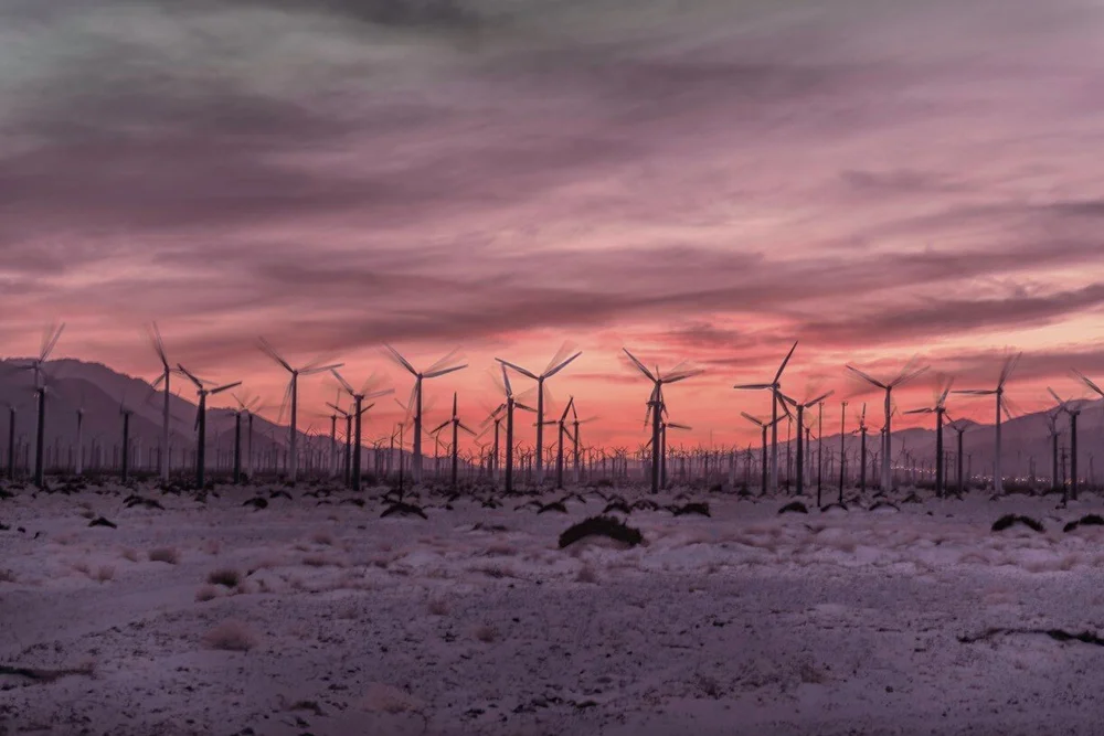 Desert Society — Introduction