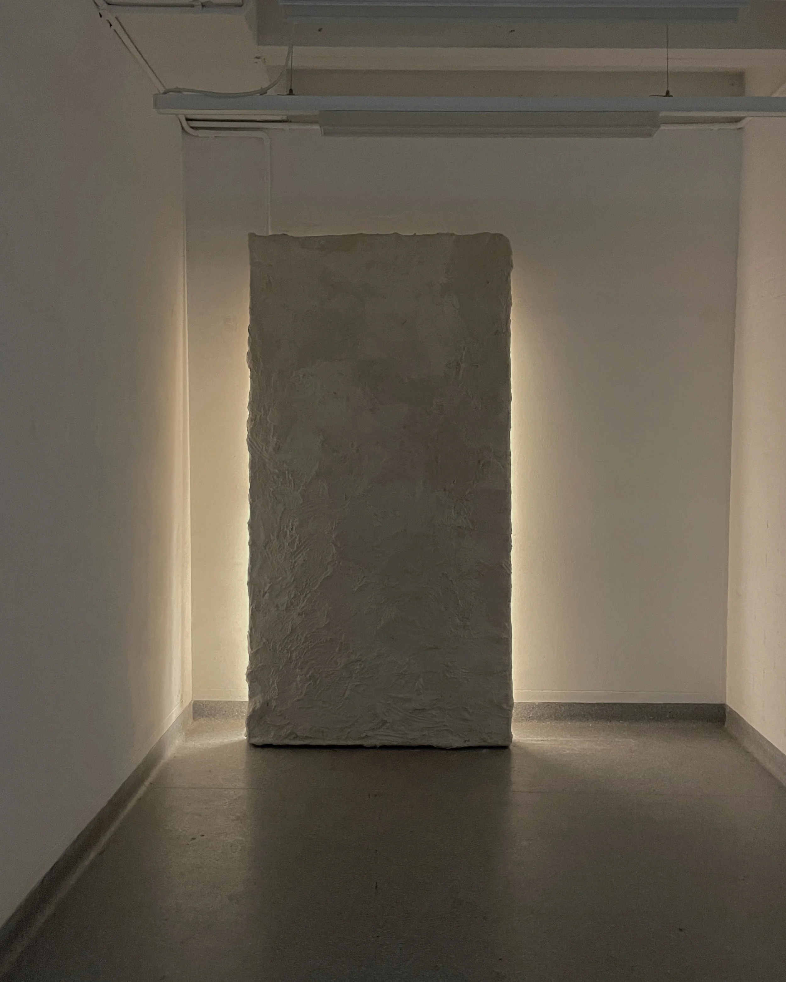 Plaster door, 2024.jpg