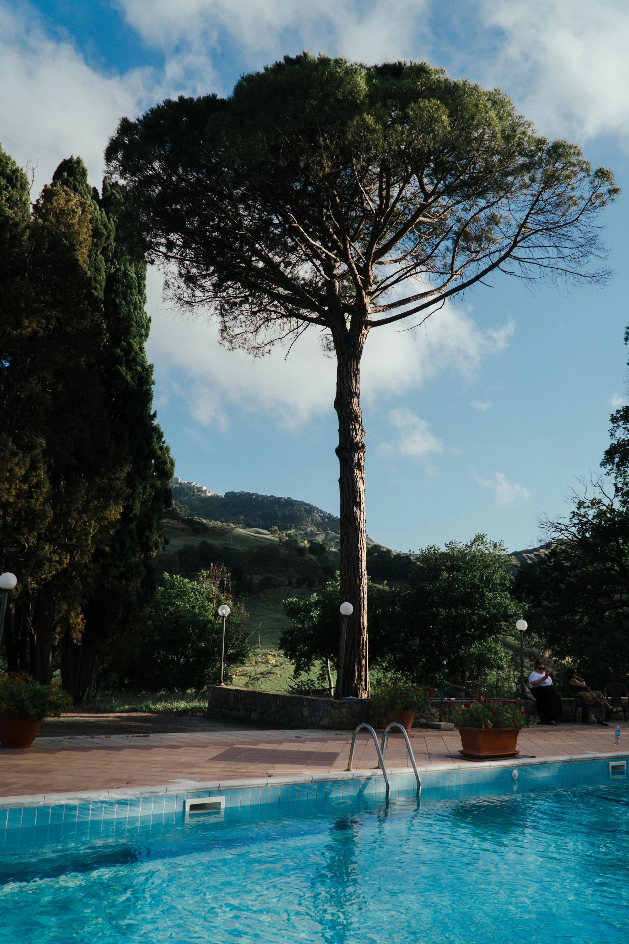 A swimming pool in the foreground with a tree and greenery in the background under a blue sky with scattered clouds.