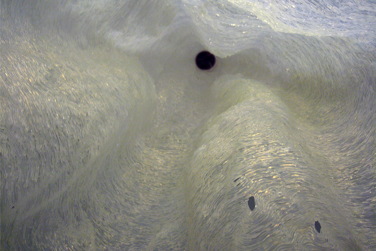 cocoon_05.png