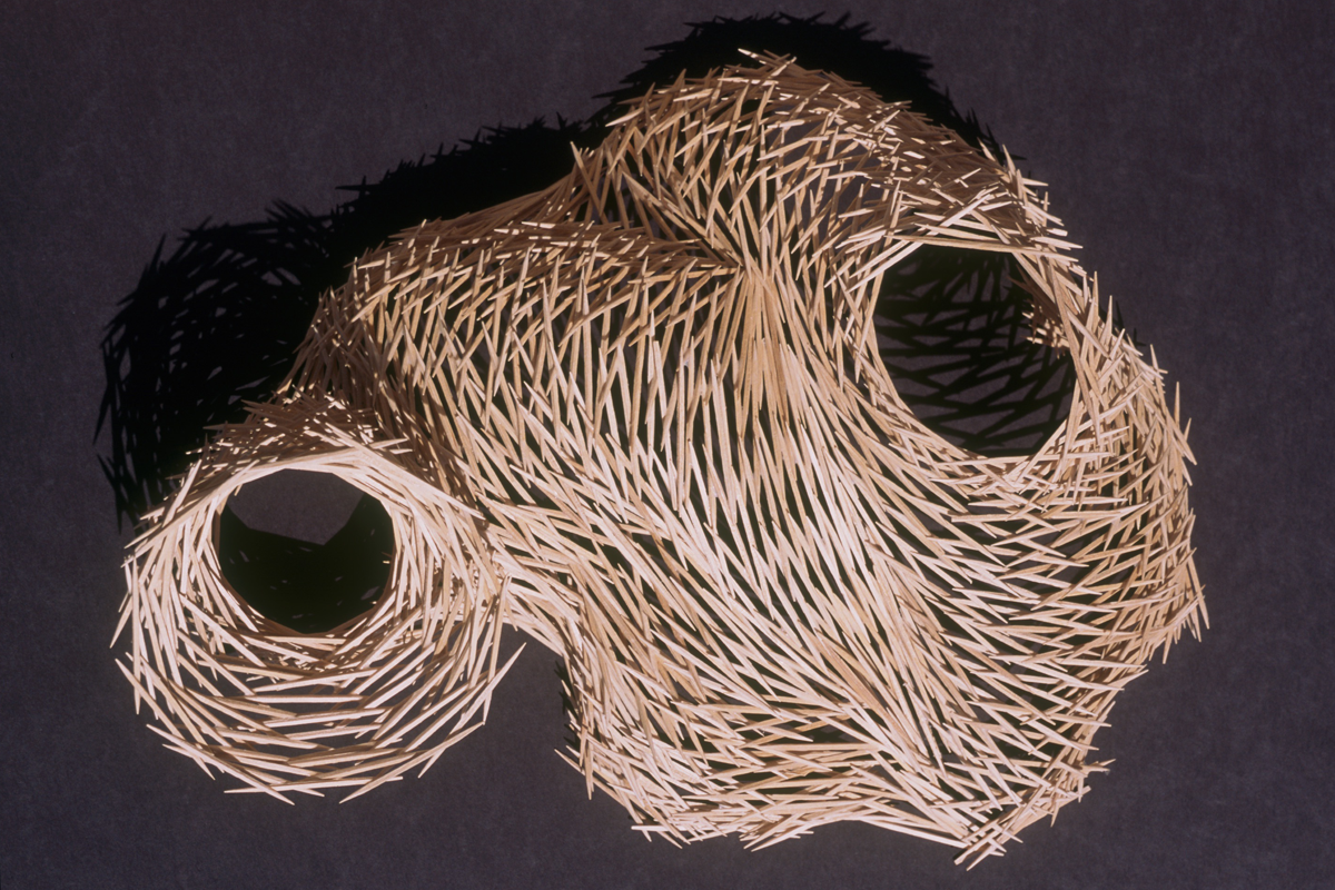 toothpicks_01.png