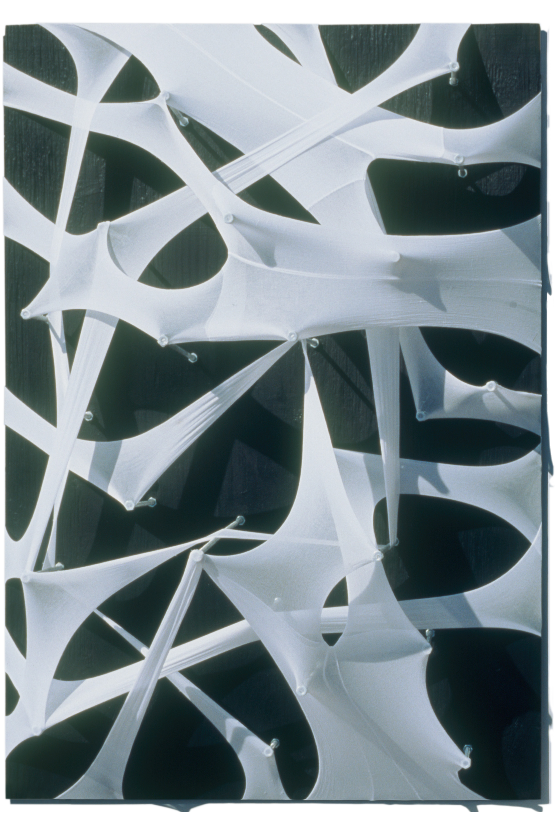 canopy i