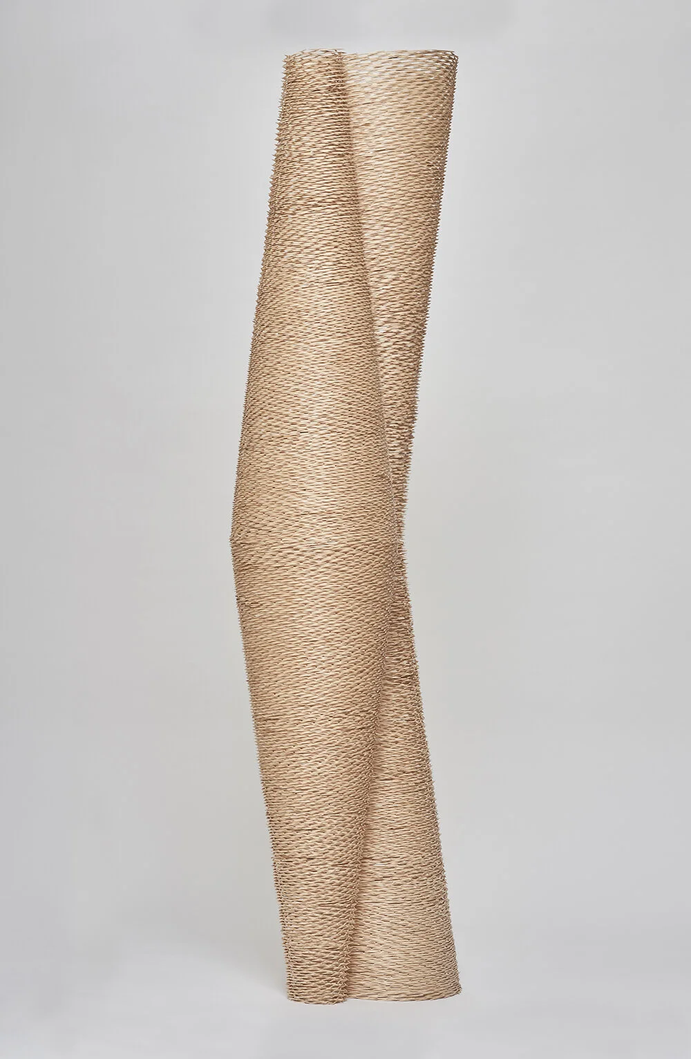 03_cone ii_view 2.jpg