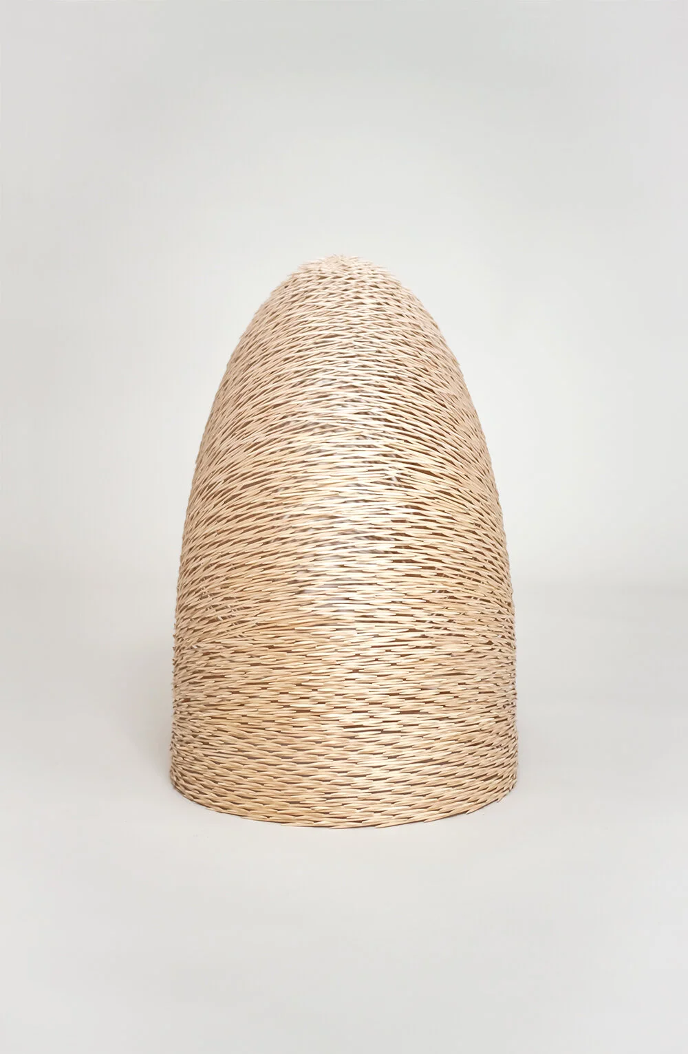 04_torus v.jpg
