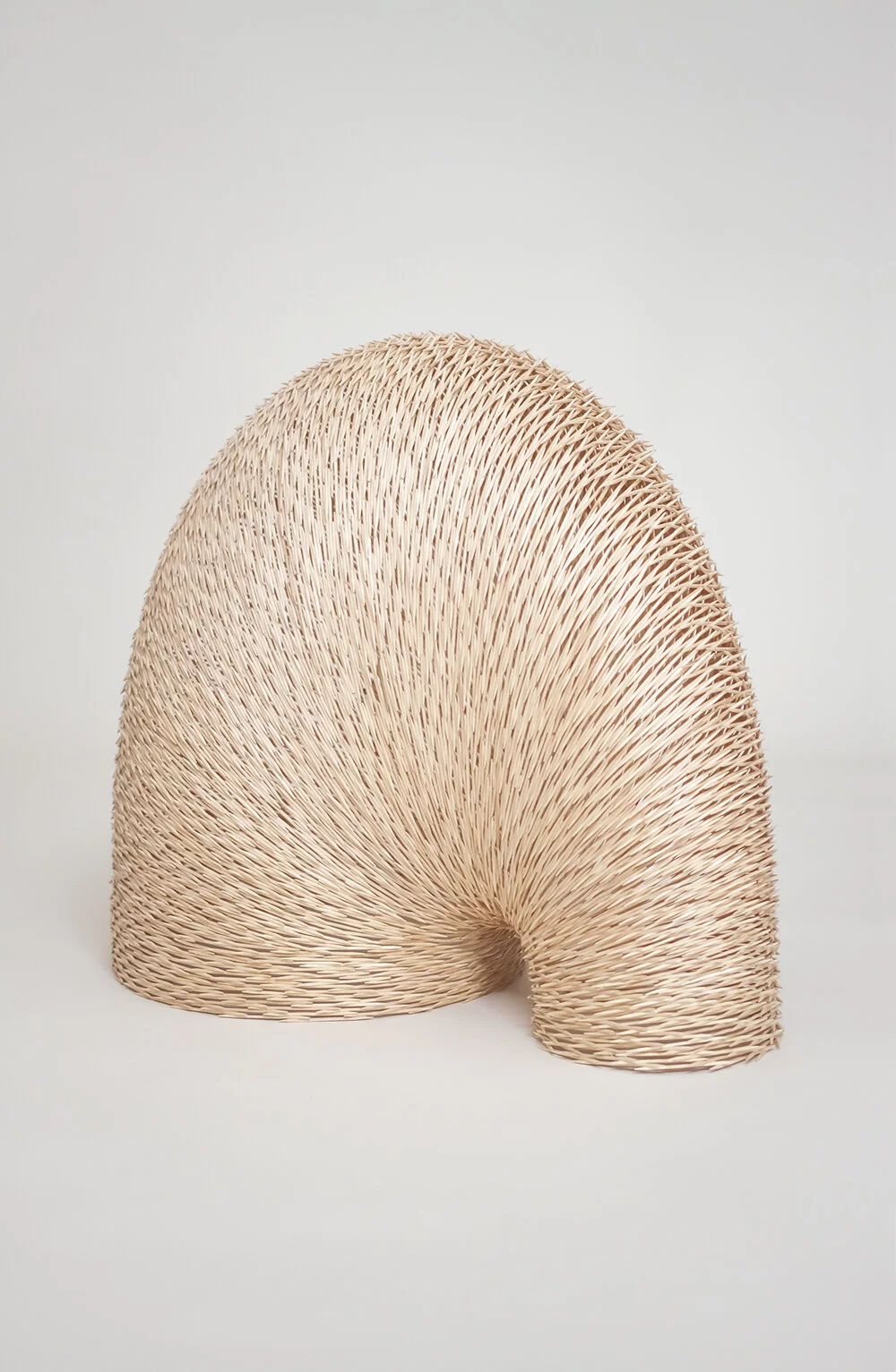 07_torus v.jpg