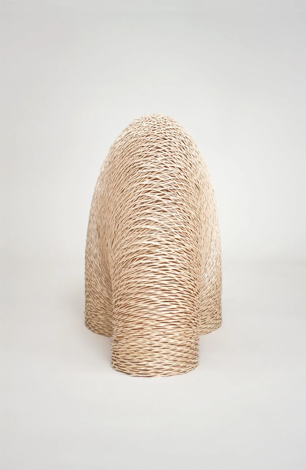 08_torus v.jpg