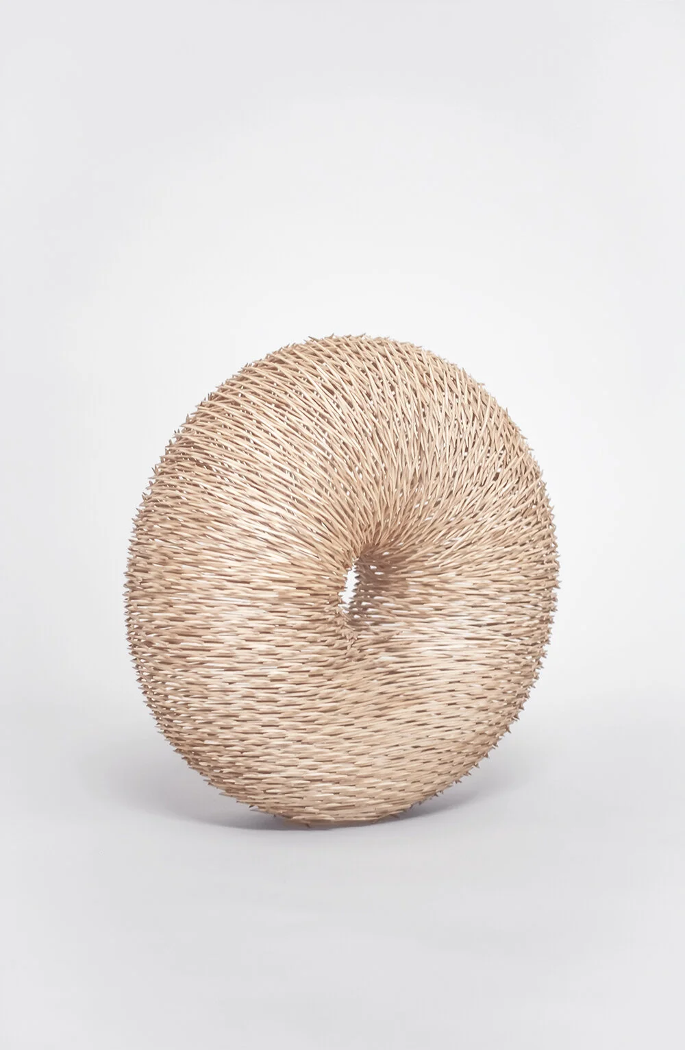 03_torus i.jpg
